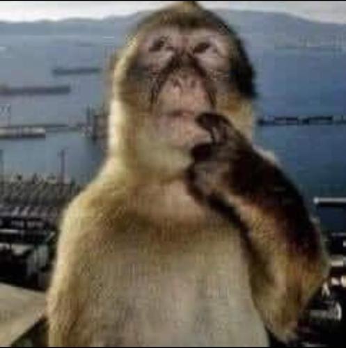 TheSparkOfZhaun#Zeri