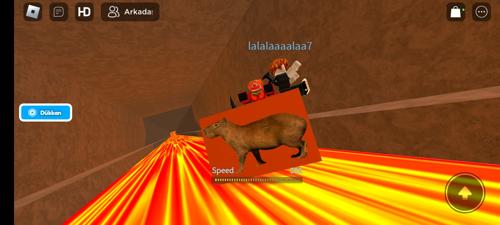 geceningürültüsü#3131