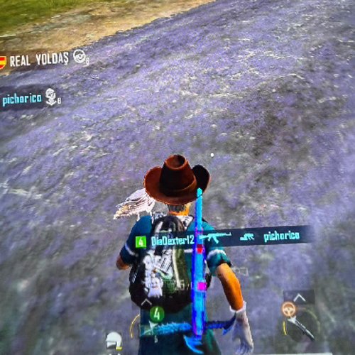 DiaEgoss31