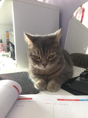 BENDE YALNIZDIM#5345