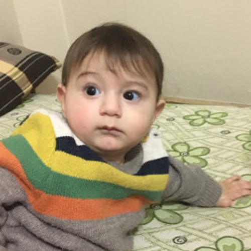 emirayddb1334@gmail.com