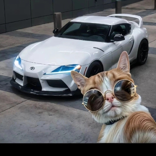 S2GEnescapar