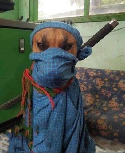 Mr.A i z e n#521285237#(4231)