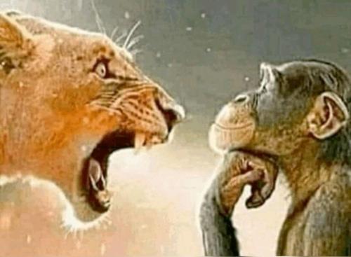 Ezediell#869641681#4034