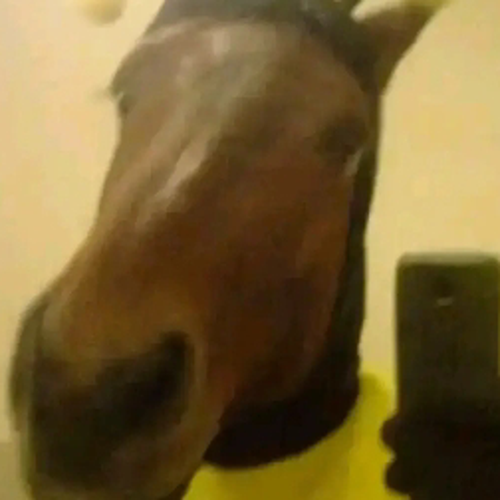 fatmanur3tasdemir@gmail.com