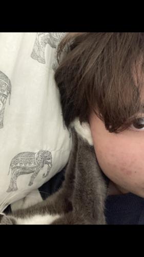 furkanhakki2@gmail.com