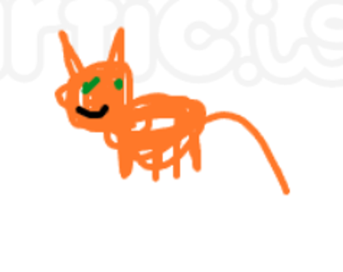 furkanyasa013@gmail.com