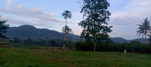 EVOS LOR,#1808261311#18716