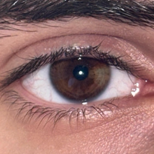 Ｈｕｓｅｙｎ๛