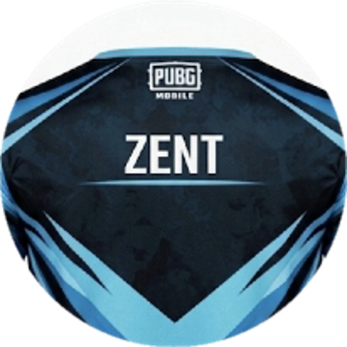 PitFallNx7Zent