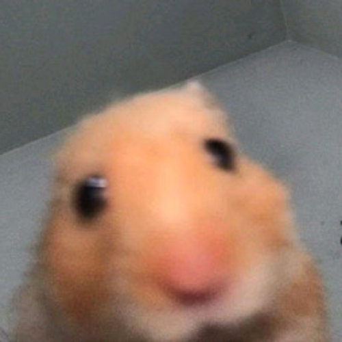 hamstersoulz