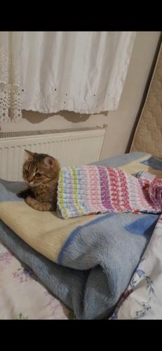 Hepiniz Çöpsünüz#00001