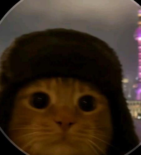 k39789hadi@gmail.com