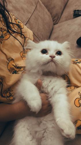 k54rpdvwjc@privaterelay.appleid.com