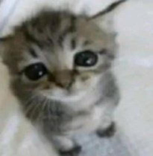 kayrakahya16161@gmail.com