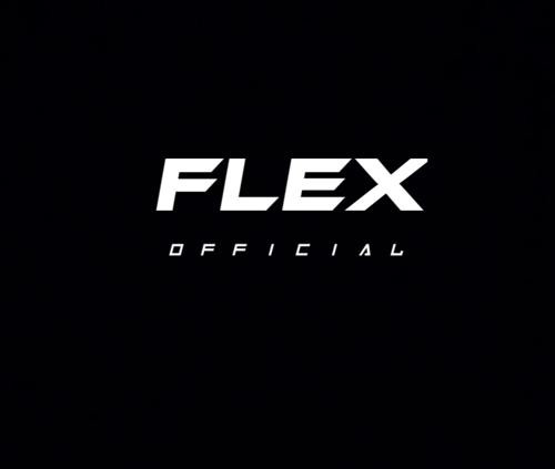 įįį『Flex』