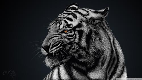 İyi Olcaz Kero #TR1