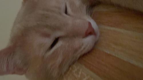 İyi Olcaz Kero #TR1