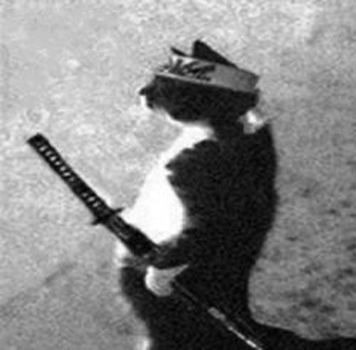 Matheus#811246120#4288