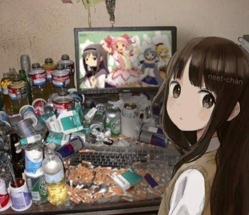 larayukseltumur@gmail.com