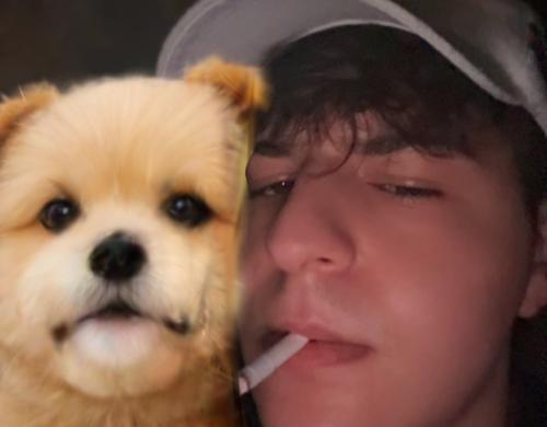 leynoth#473192887#4062