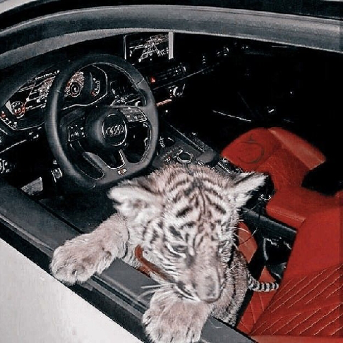 ňňīYňňī