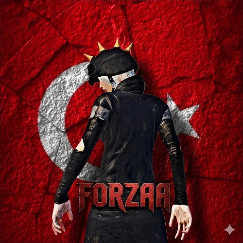 mehmetakiferl2727@gmail.com