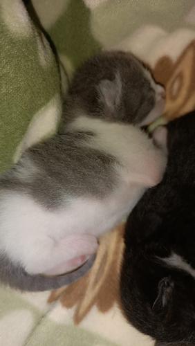 Komünist从Ruby☭#856695363#4297