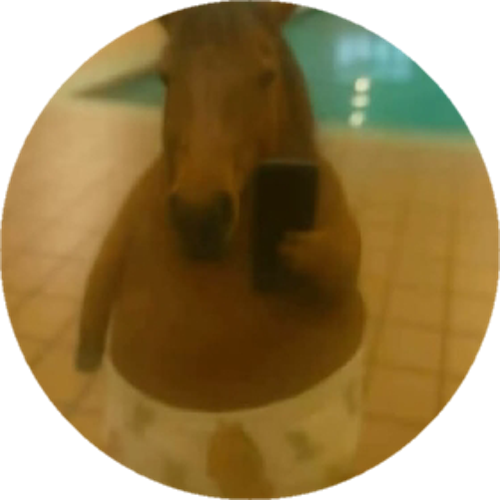 melisshn5845@gmail.com