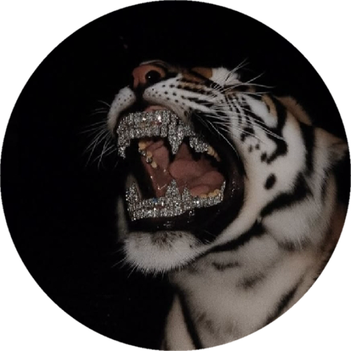 ūRagnaRx7ū