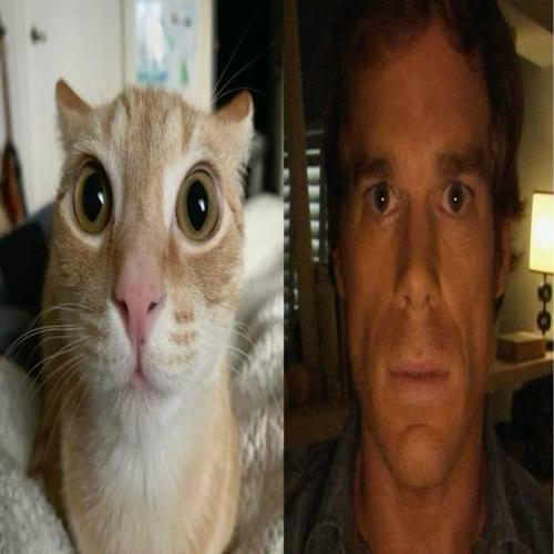 herobrine mehmet#PRO