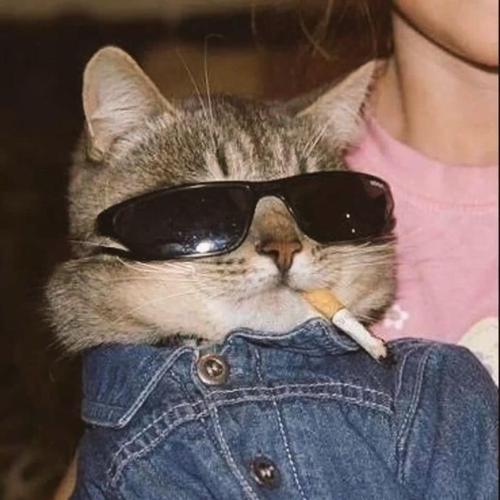 Respectㅤ#422906982#4204