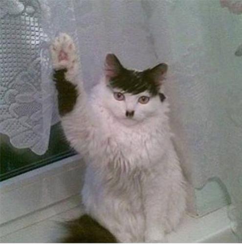 Kaos Modu Canavarı#684086189#4256