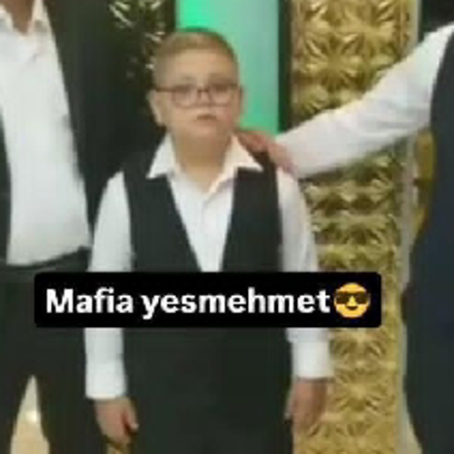 muhammetakpinar178@gmail.com