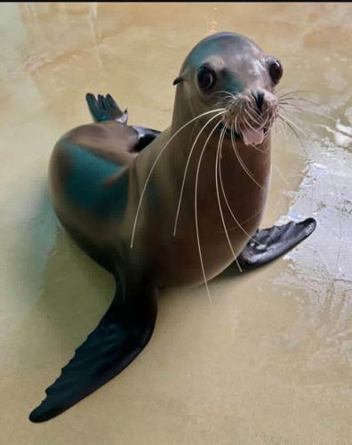 n6krh2vrv2@privaterelay.appleid.com