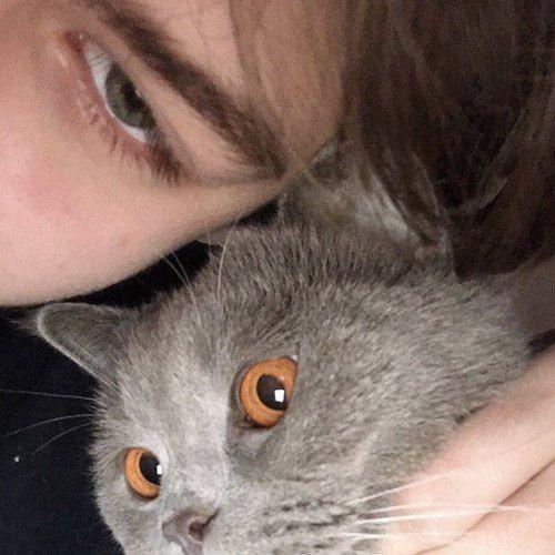 ⁰⁰⁰⁰⁰⁰#410033498 (4052)#31200