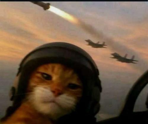 프제짱 PzZZang#GOD