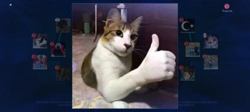 SatanistLevi#453378147#4217