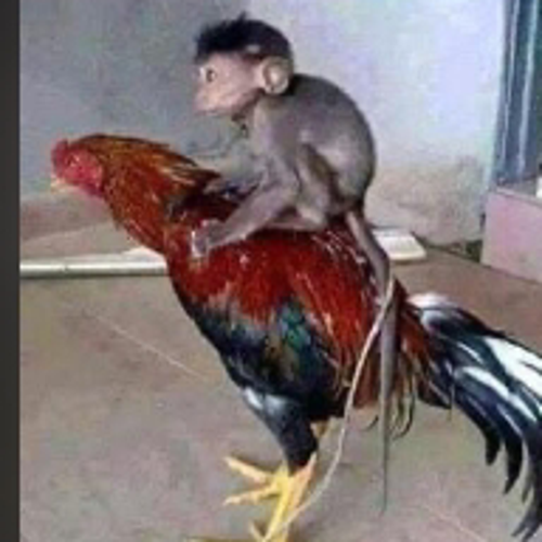 omerismail628@gmail.com