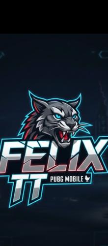 TTFELİX