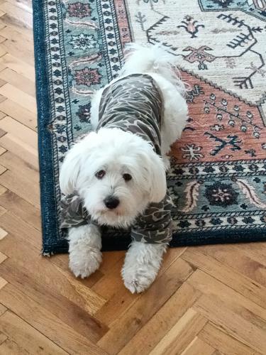 ozankkls@hotmail.com