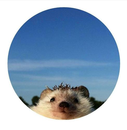 玳培加威invily10#I10