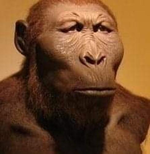 madlifekoray2003#TR1