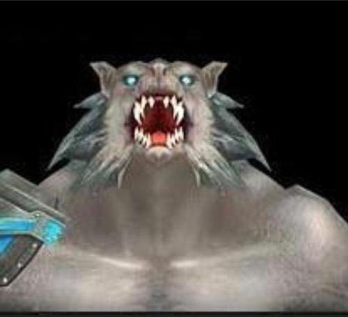 Siyah Shacolata#tavuk