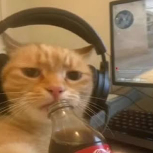 rmznmehmetemre@gmail.com