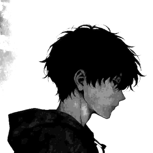 sahinfalcon10@gmail.com