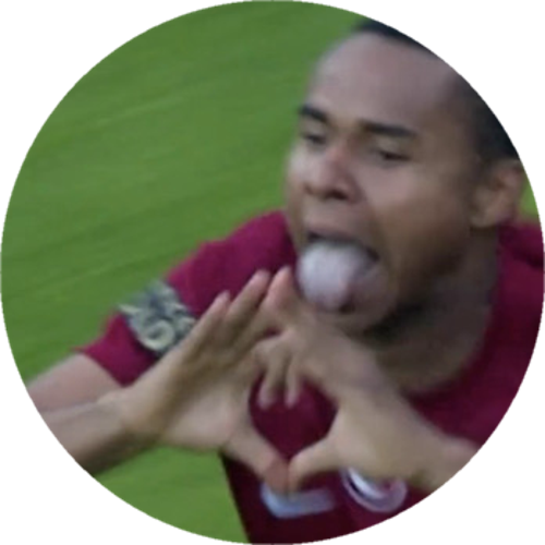 RvNįSaınz