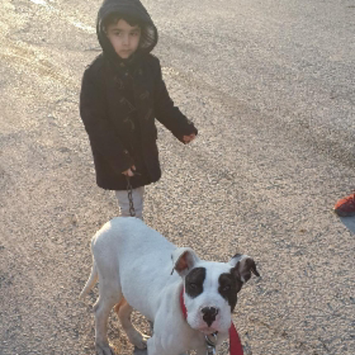 user5147189395288823