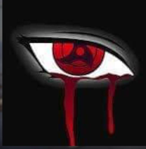 sarikerem626@gmail.com