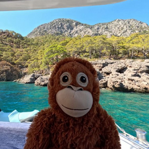 TGMPUDDINHOego